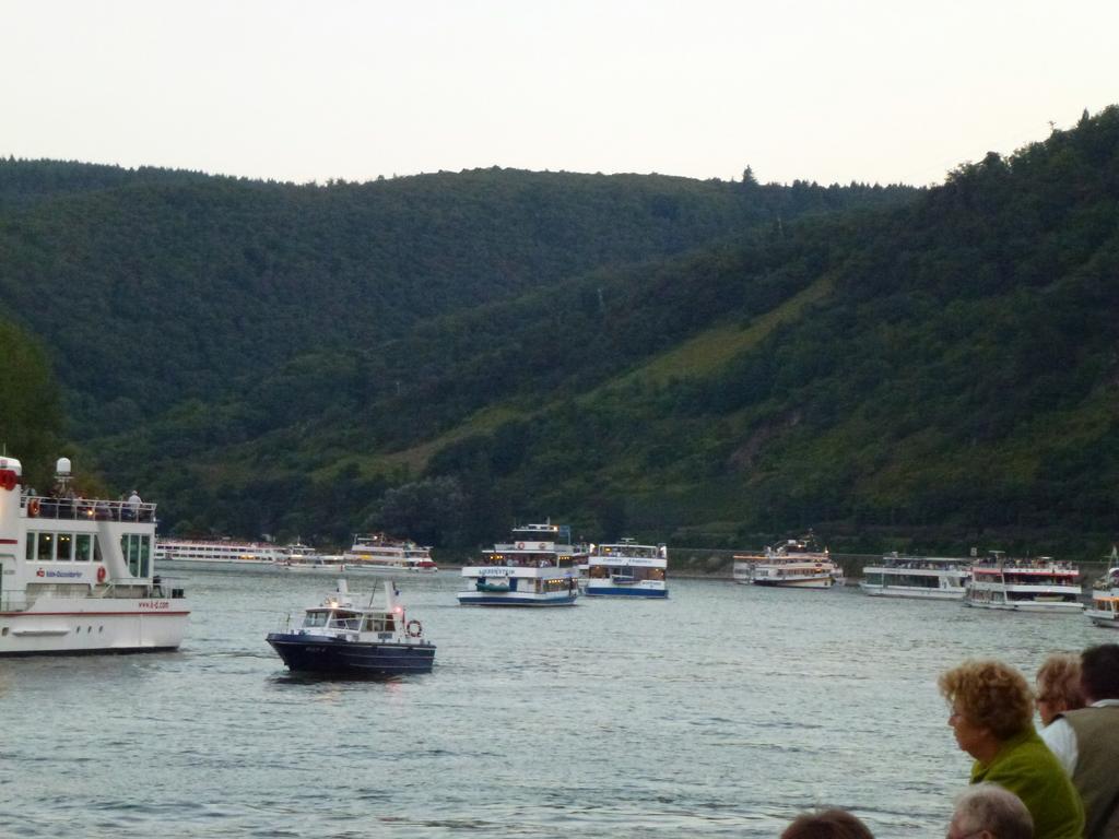 Ferienwohnungen Im Moseltal Löf Dış mekan fotoğraf
