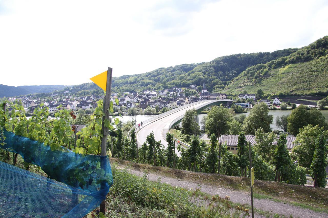 Ferienwohnungen Im Moseltal Löf Dış mekan fotoğraf